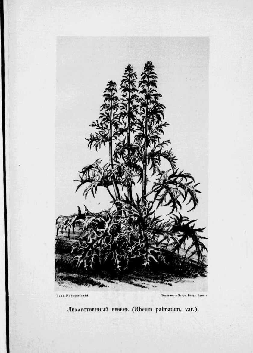 Из Зайсана через Хами в Тибет и на верховья Желтой реки