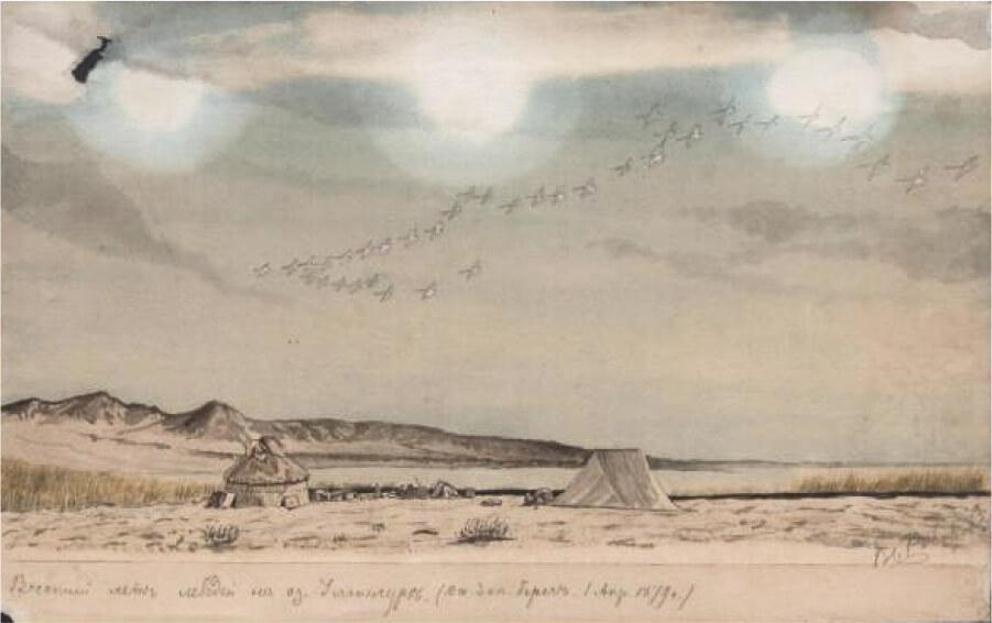 Лебеди на озере Улюнгур. Худ. — И. В. Роборовский. 1879